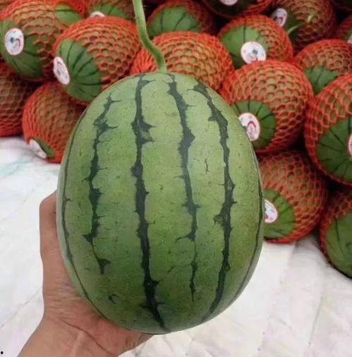 吃瓜聊天素材,揭秘娱乐圈那些不为人知的幕后故事