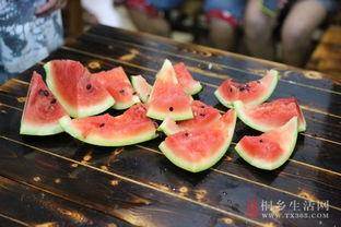 桐乡公安吃瓜,揭秘背后真相与网络舆论风暴