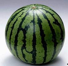 网上吃瓜的图片,揭秘吃瓜群众的视觉盛宴