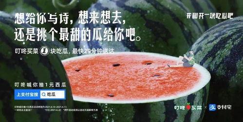 午休吃瓜文案,轻松一“瓜”，畅享休闲时光