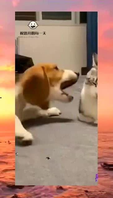 吃瓜到隔壁杀人,人性扭曲的惊悚之旅