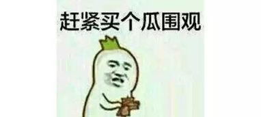 做好板凳吃瓜,品味生活，静待瓜熟