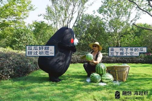 西昌吃瓜事件合集,一场网络狂欢背后的真相与反思