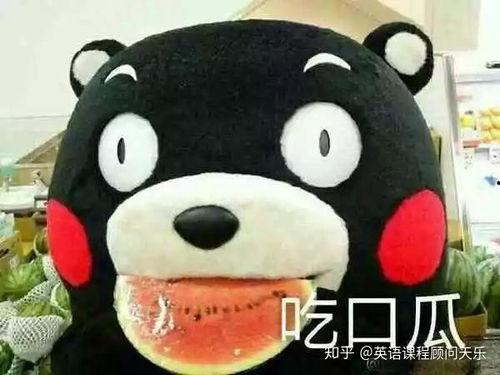 吃瓜形容图,揭秘娱乐圈的“瓜田”风云