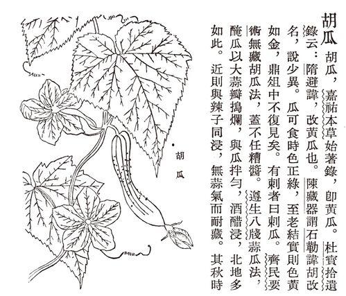 古代吃瓜长篇,揭秘古代宫廷与民间消遣生活